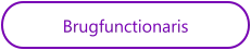 Brugfunctionaris