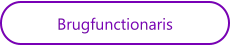 Brugfunctionaris